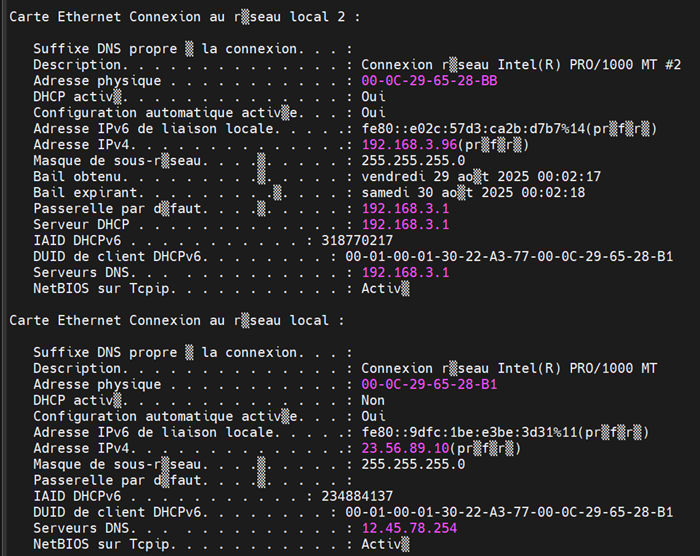 configuration réseau de Windows
        Metasploit